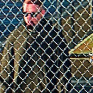 Meet your Posher, Steven